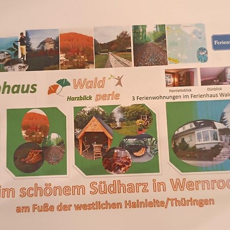 Ferienhaus Waldperle Harzblick Wernrode Екстериор снимка