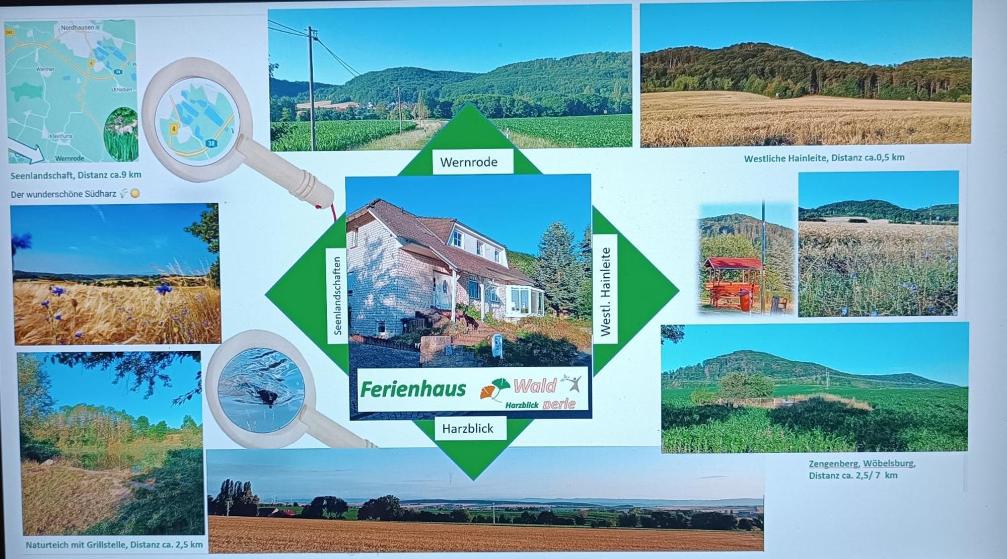 Ferienhaus Waldperle Harzblick Wernrode Екстериор снимка