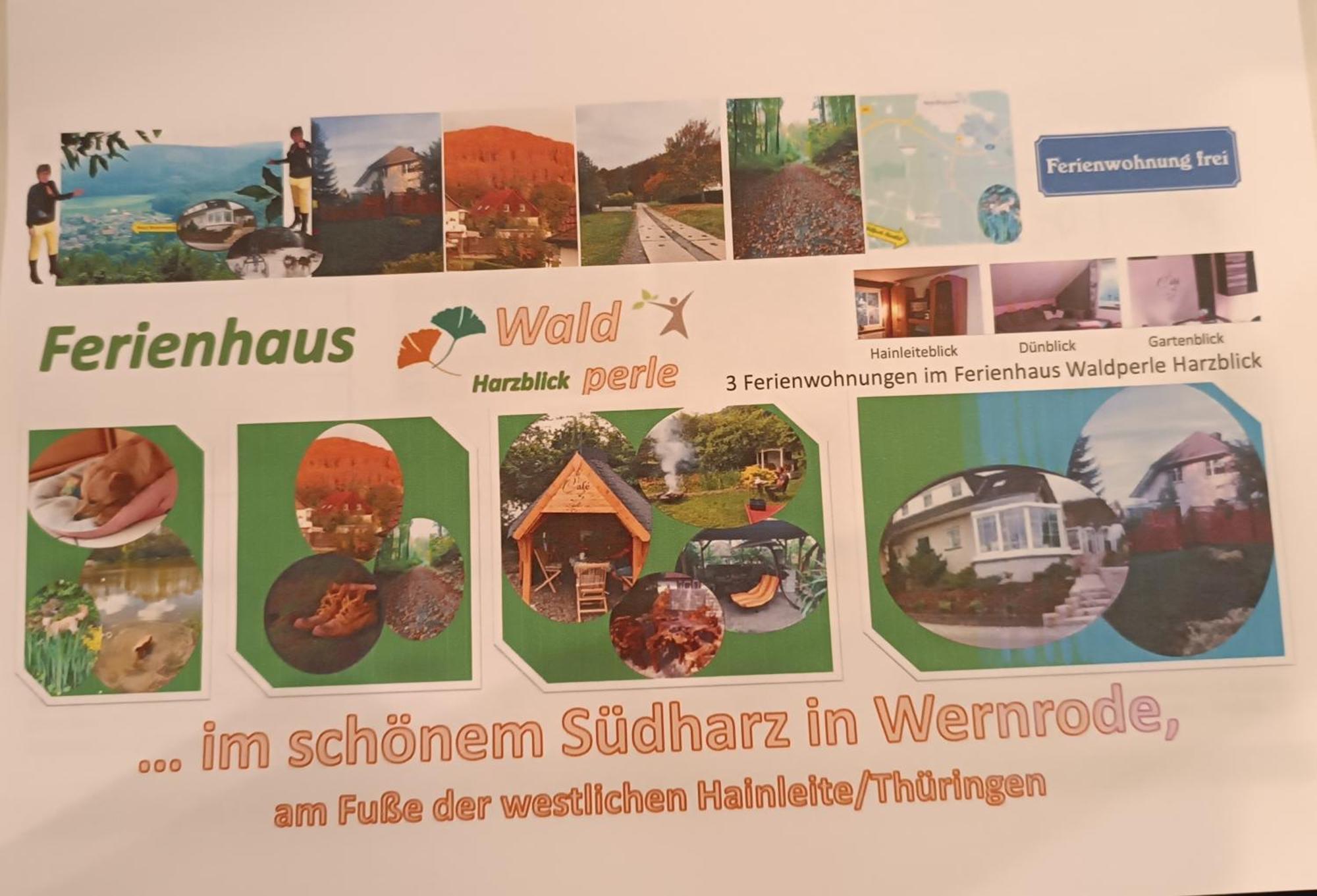 Ferienhaus Waldperle Harzblick Wernrode Екстериор снимка