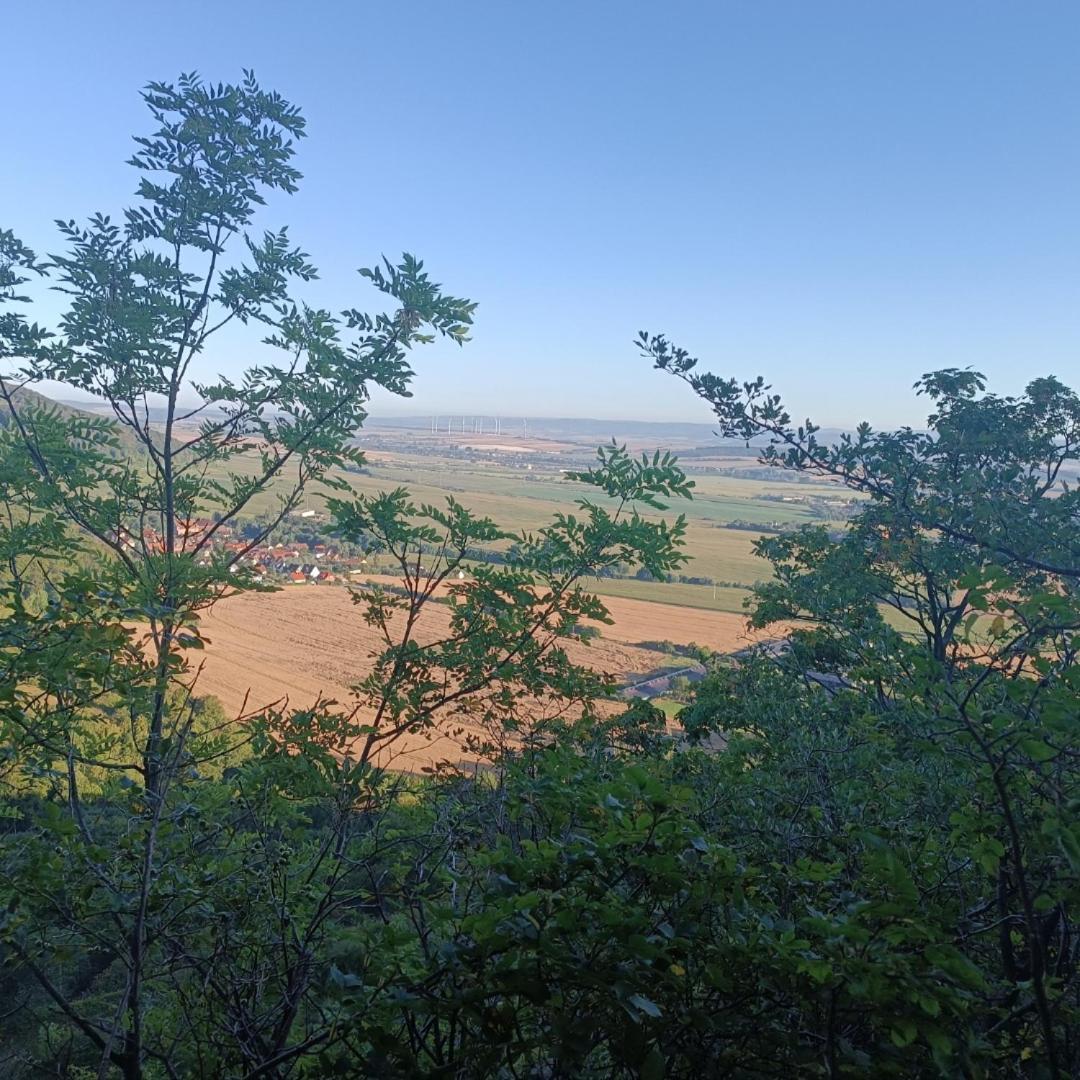 Ferienhaus Waldperle Harzblick Wernrode Екстериор снимка