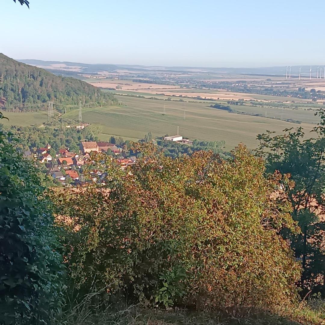 Ferienhaus Waldperle Harzblick Wernrode Екстериор снимка